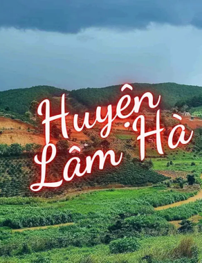 Lâm Hà Lâm Đồng có gì chơi? Review tất tần tật